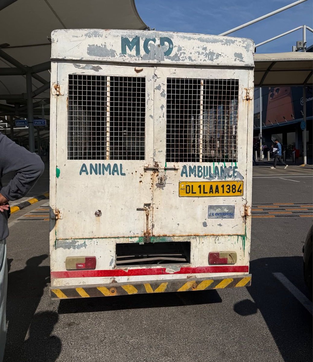 Object/Being tweet media