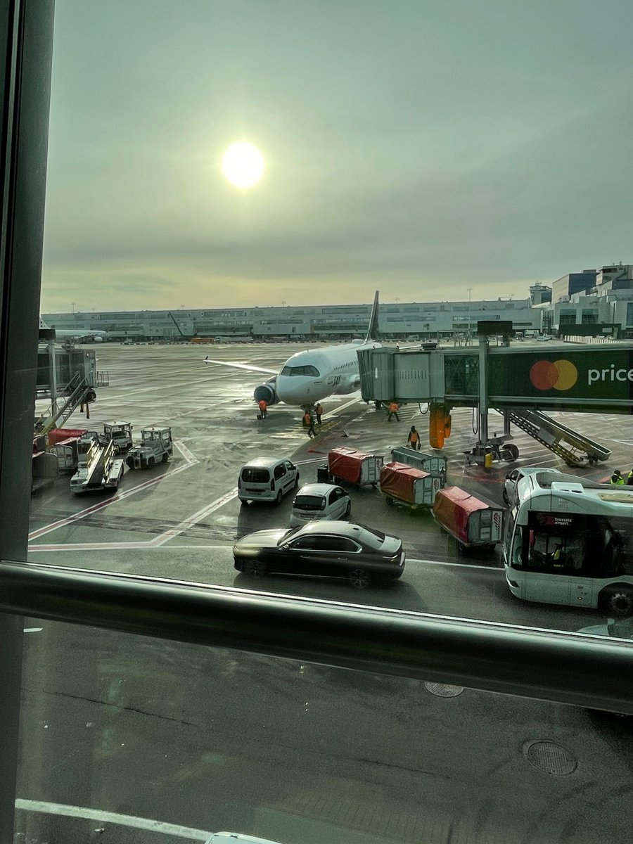 Tekula wolf 🔜 NFC tweet media