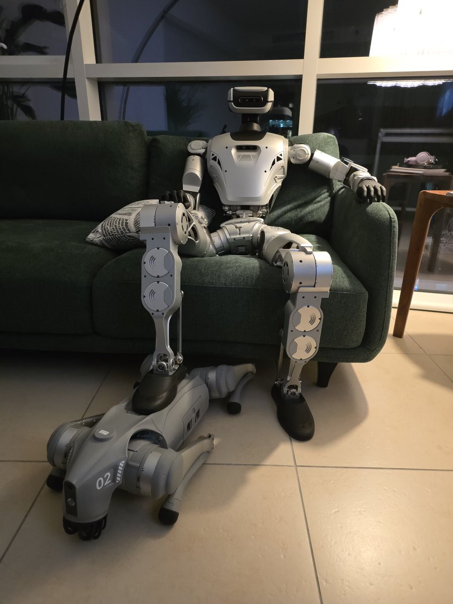 Republic of Animation tweet media