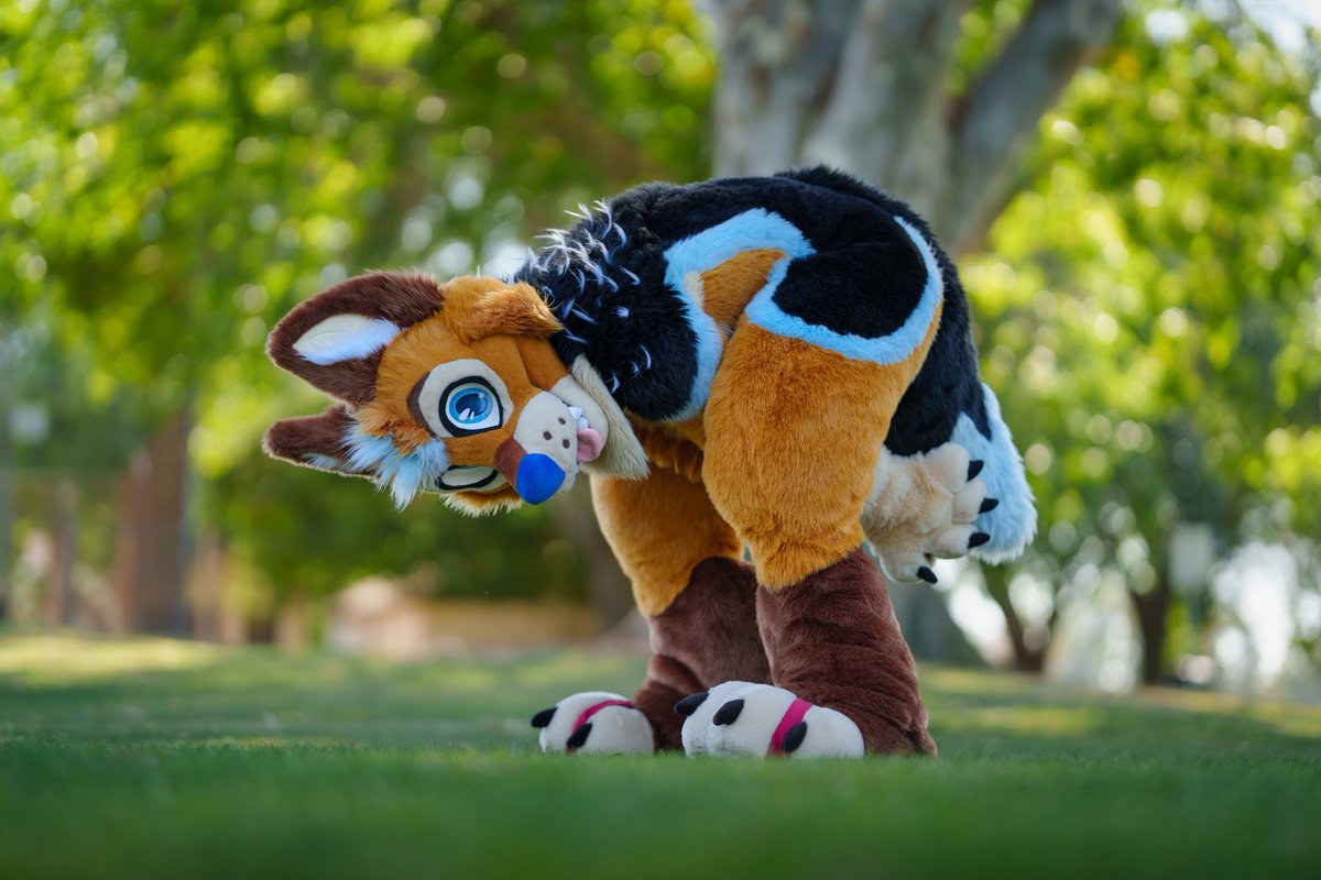 Crow Creations Fur-tography! 🔜 NFC! tweet media