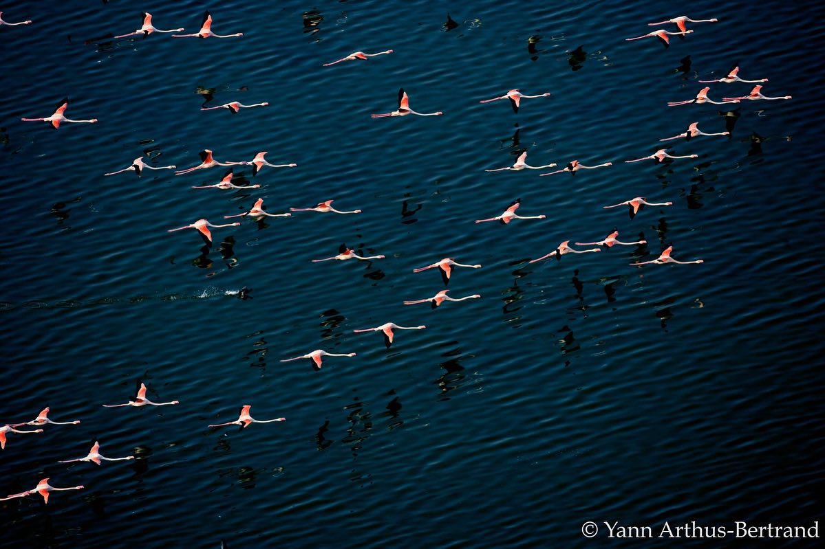 Syria Visuals tweet media