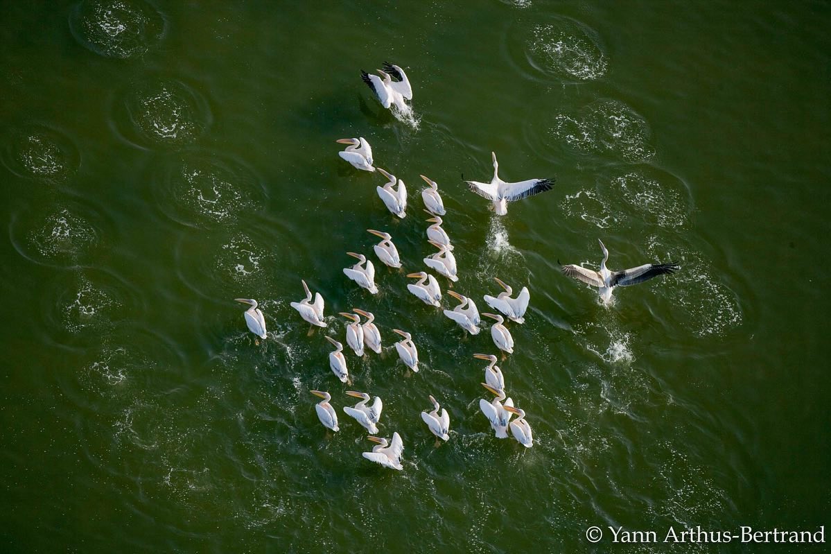 Syria Visuals tweet media