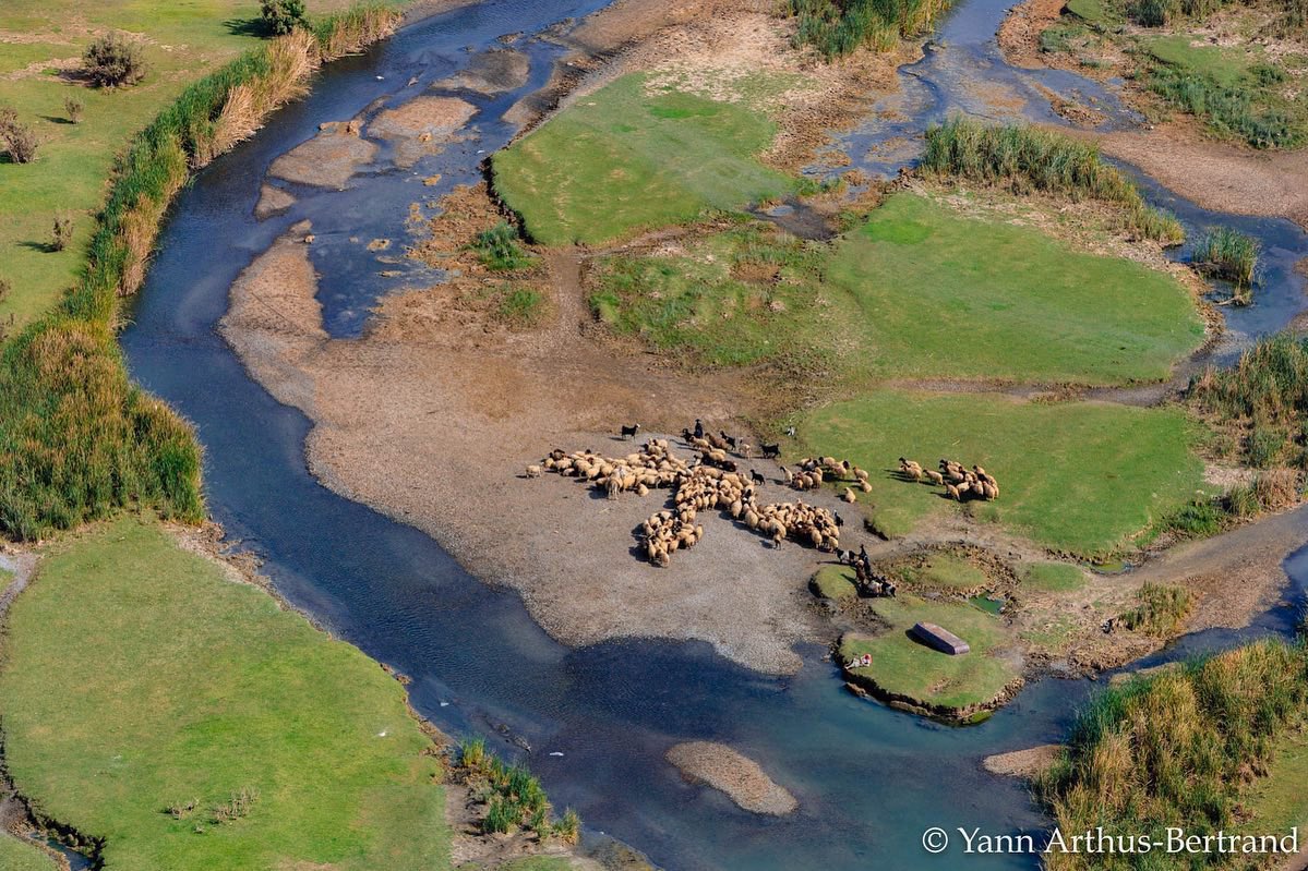 Syria Visuals tweet media