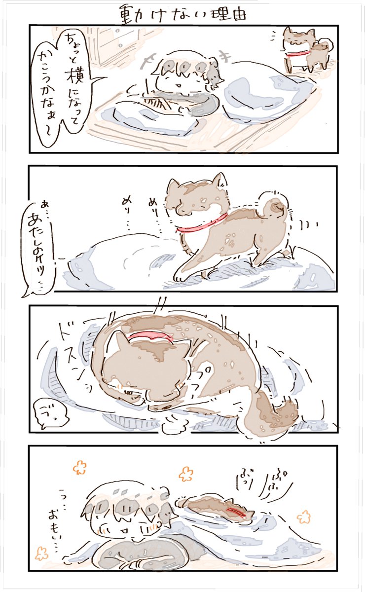 #4コマ漫画 #柴犬 
動けない理由 