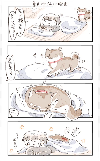 #4コマ漫画 #柴犬 
動けない理由 