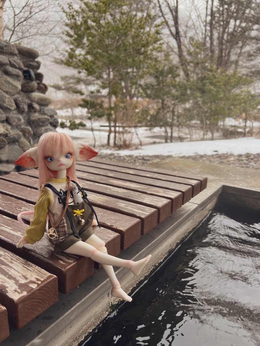 ペスカさん初の雪です❄️