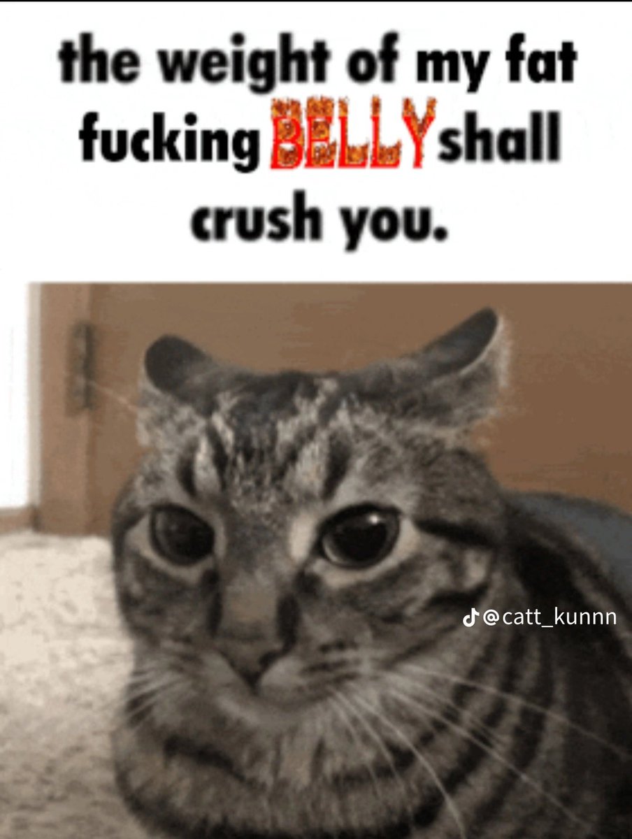 David 🔜 Ibercon!! tweet media