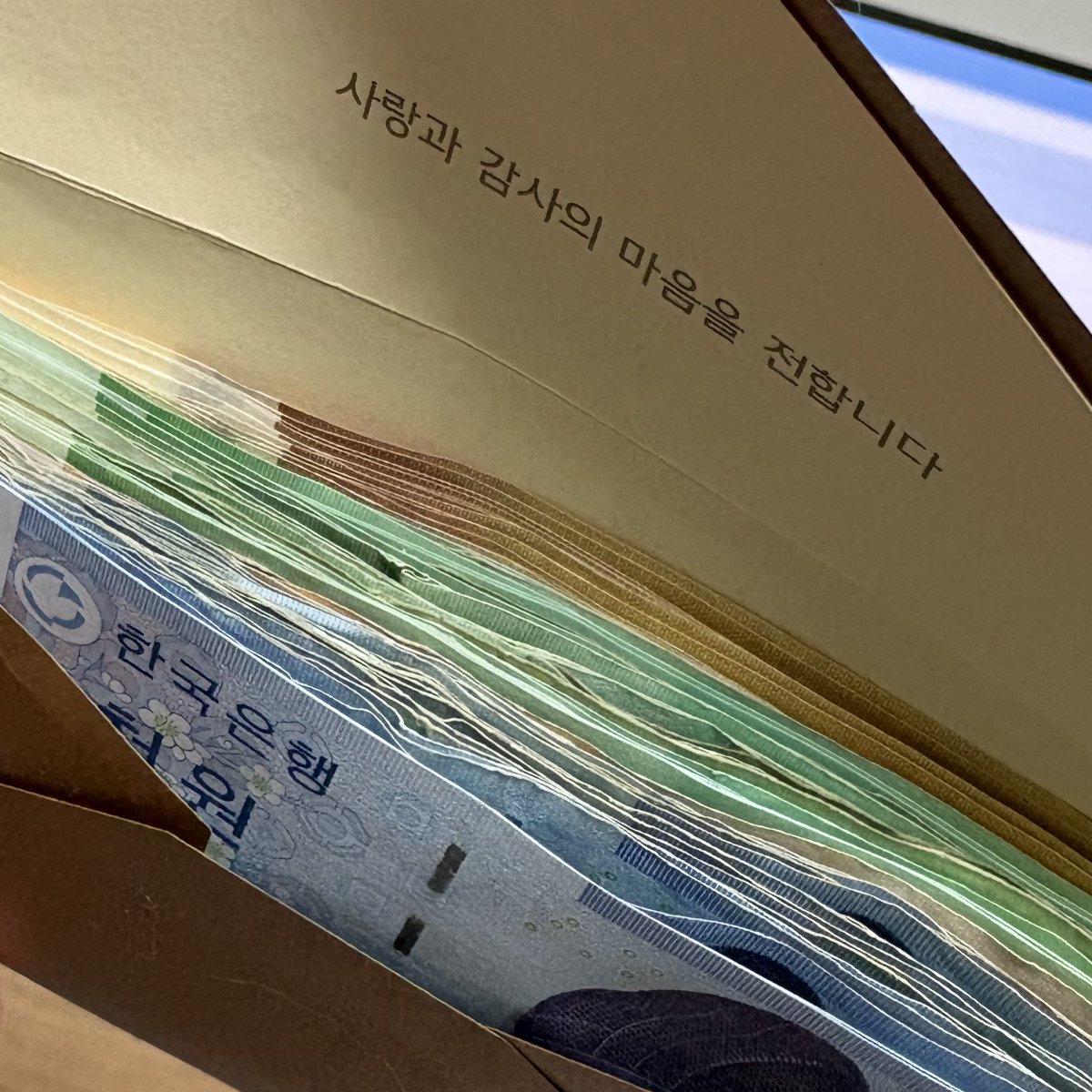 단이 tweet media