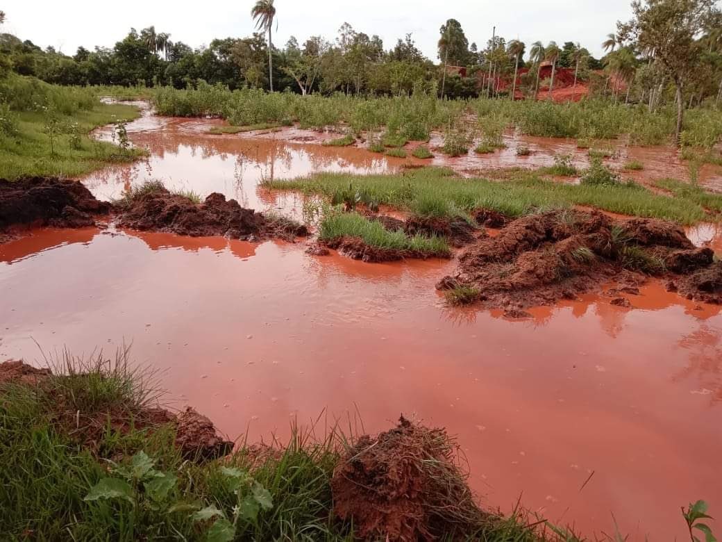 Mañana jueves 19 de febrero de 2026 se realiza la audiencia preliminar en la causa contra defensores ambientales de Paso Yobái, entre ellos Don Vidal Brítez, dirigente social y productor yerbatero.

En nueve meses de “investigación”, la Fiscalía no pudo probar que Don Vidal