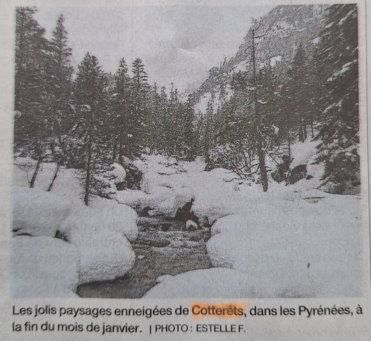 🇫🇷OlgaTruc 🇫🇷🇪🇺🇺🇦🇮🇱 💙 #SoutienFDO tweet media