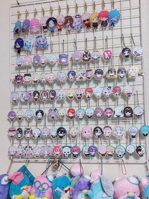 うちの子アクキー!