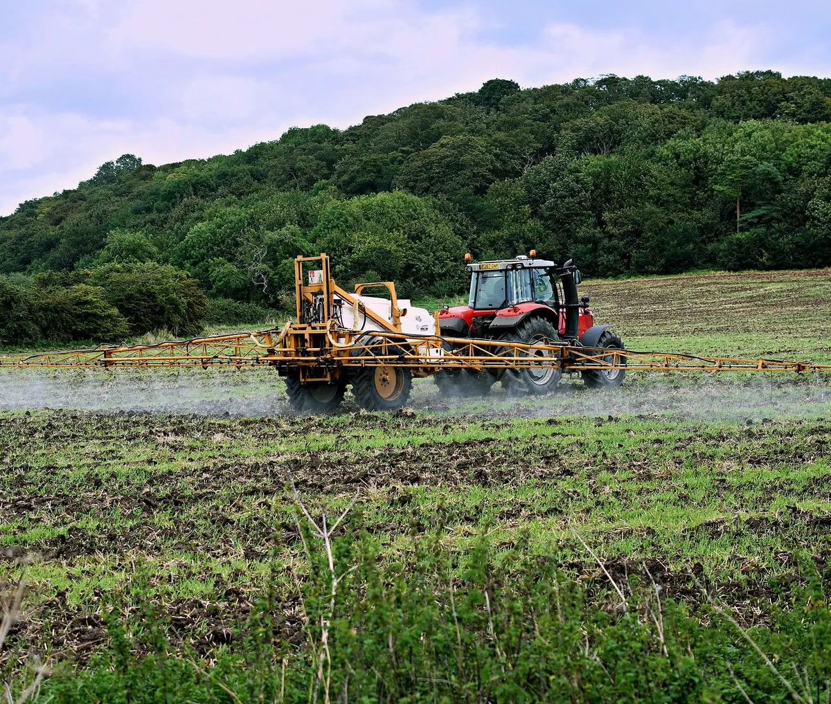 WWFitalia's tweet photo. La deregolamentazione dei #pesticidi in #Europa rischia di mettere in pericolo la sicurezza della #Salute dei cittadini e dell'ambiente.
Per questo insieme ad altre 10 associazioni abbiamo chiesto al governo italiano di fermare questo provvedimento👇 https://t.co/n7LDtZgNtj https://t.co/IzVfjdunkR