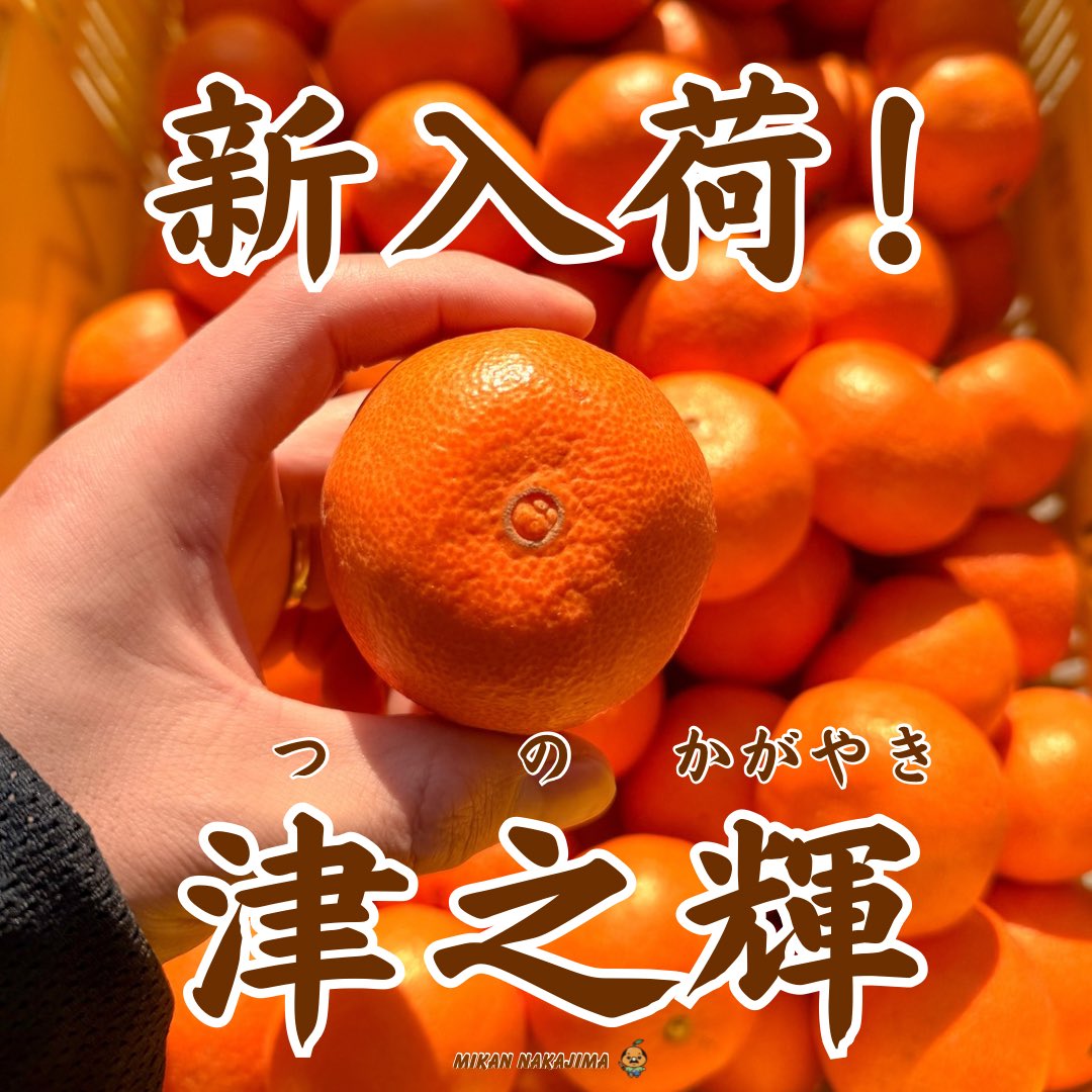 新しく入荷しました🍊 津の輝は数は少なめです🙇