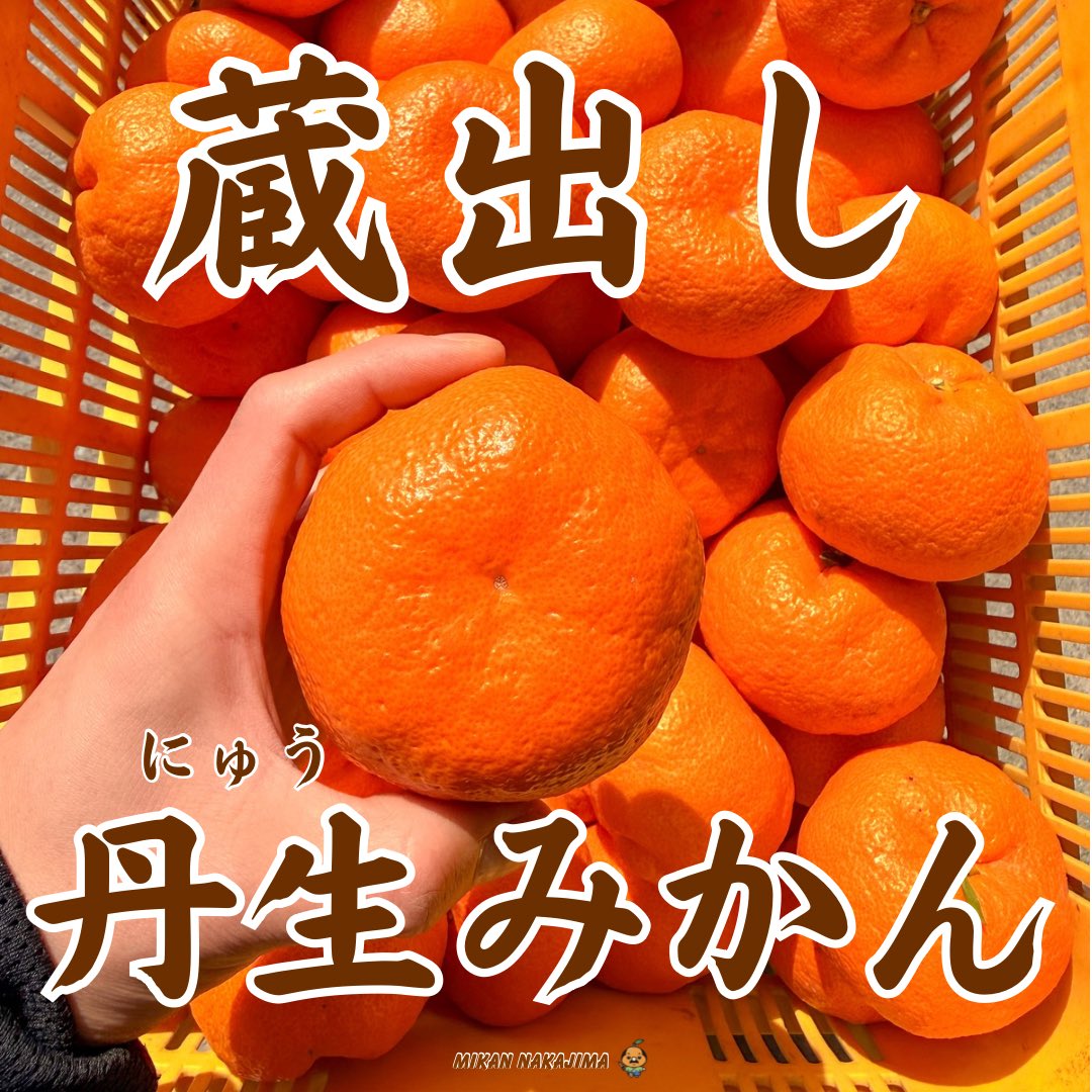 新しく入荷しました🍊 津の輝は数は少なめです🙇