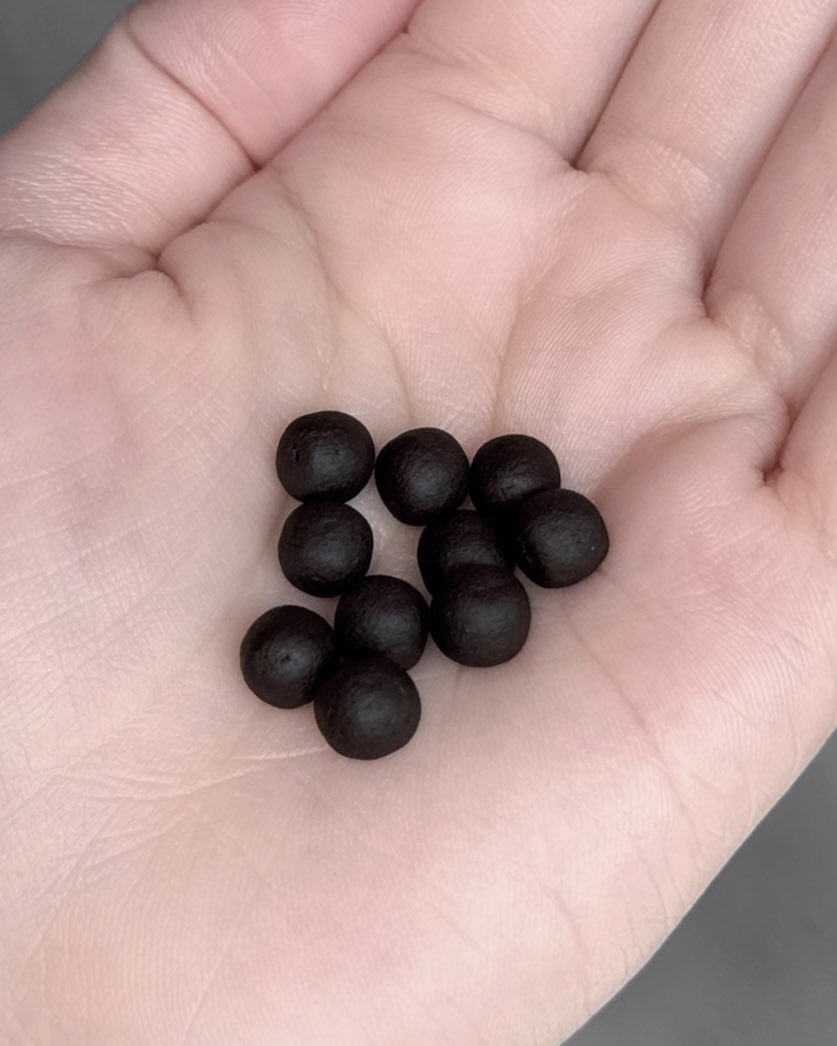 ムズムズでグズグズの不快な季節到来…。
って事で、話題のじゃばらと青みかん100％のサプリ飲み始めたんだけどコレが想像以上の良さ。添加物なし*で体に栄養を届けてくれるのポイント高いし、シンプルに飲まないより飲んだ方が気分が楽なのたいへん助かる【PR】【アトピタン】