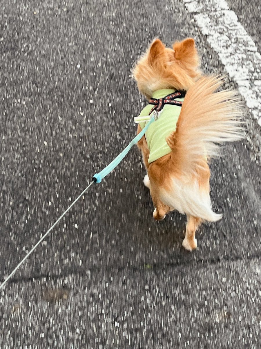 inoru_kun's tweet photo. 今日風強くて驚いたよね〜 https://t.co/RjfG1YkZVs