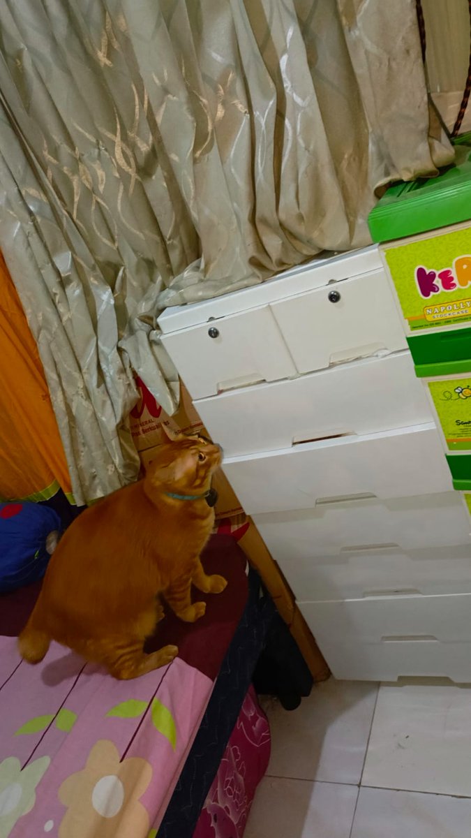 Tamatlah sudahhh alkisah kami....