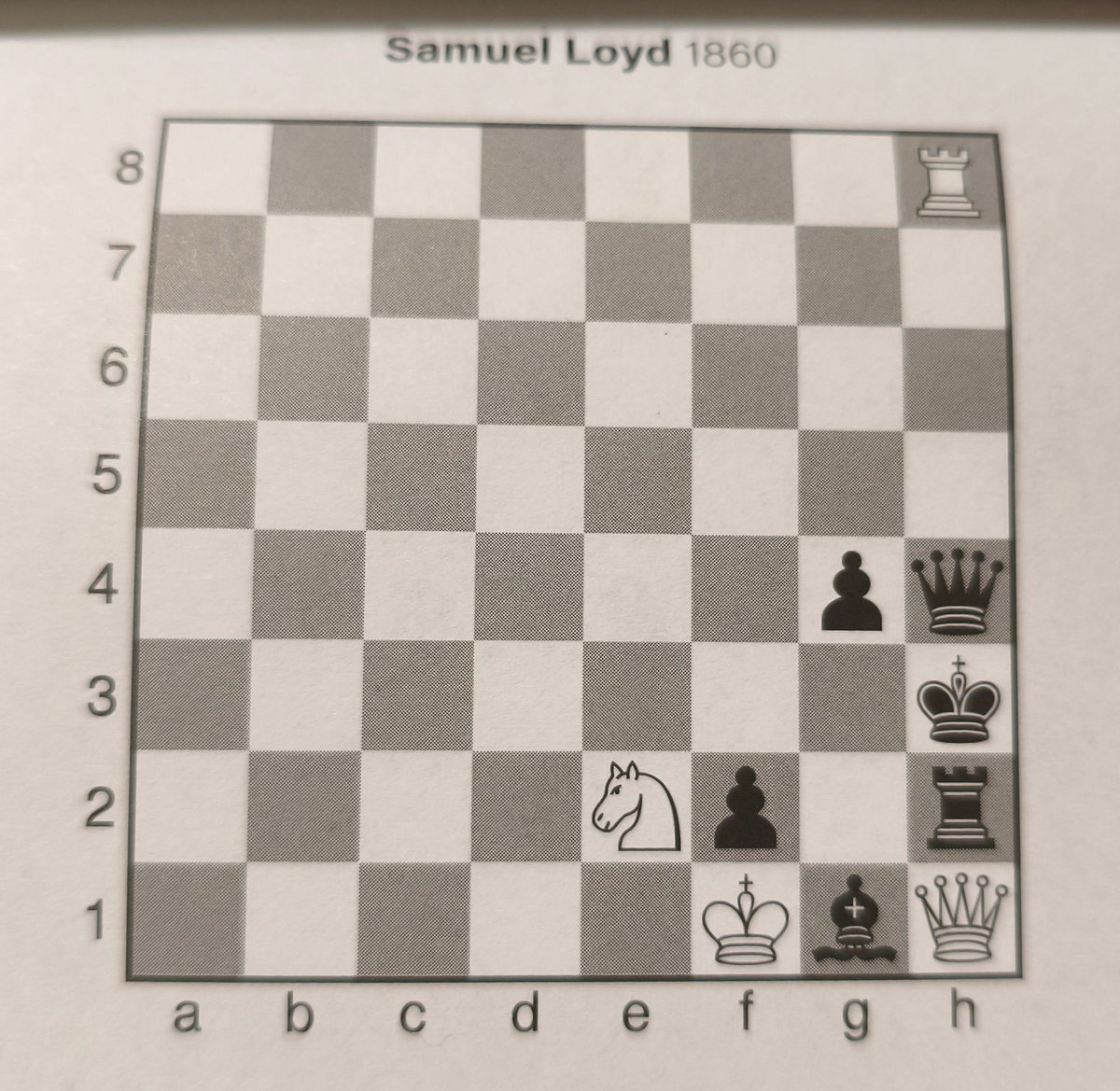 Chess Feed tweet media