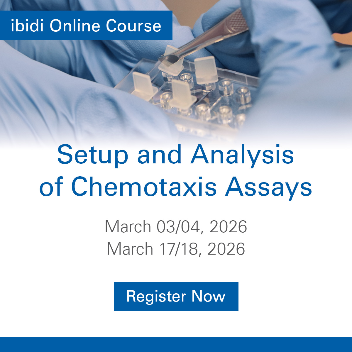 ibidi GmbH tweet media