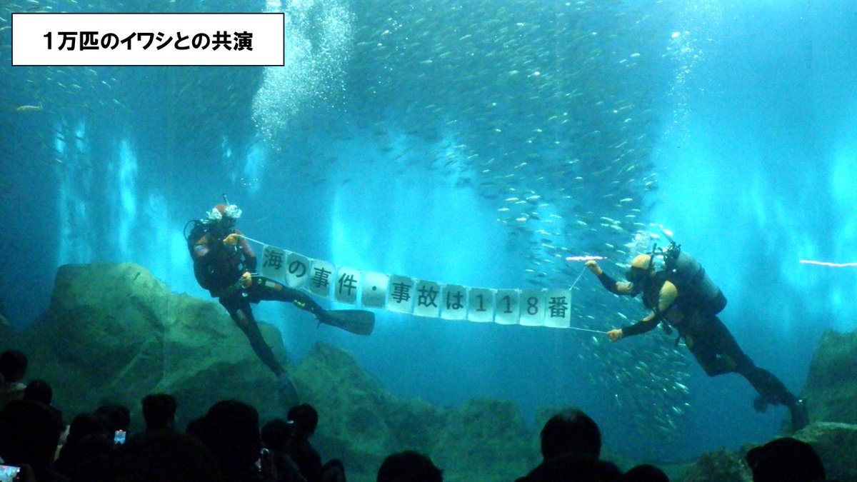 JCG_9th_RCGH's tweet photo. 【かが百万石便り2026 Vol.3】
#のとじま水族館 において、海上保安庁緊急通報用電話番号 #118番 のPRのため #潜水士 が水中パフォーマンスを行い、そして能登復興を願ってエールを送りました。沢山のご来場ありがとうございました!!
#九管区 #金沢 #巡視艇かがゆき #海保 #ALLREADY https://t.co/Gffuh0Yz9L