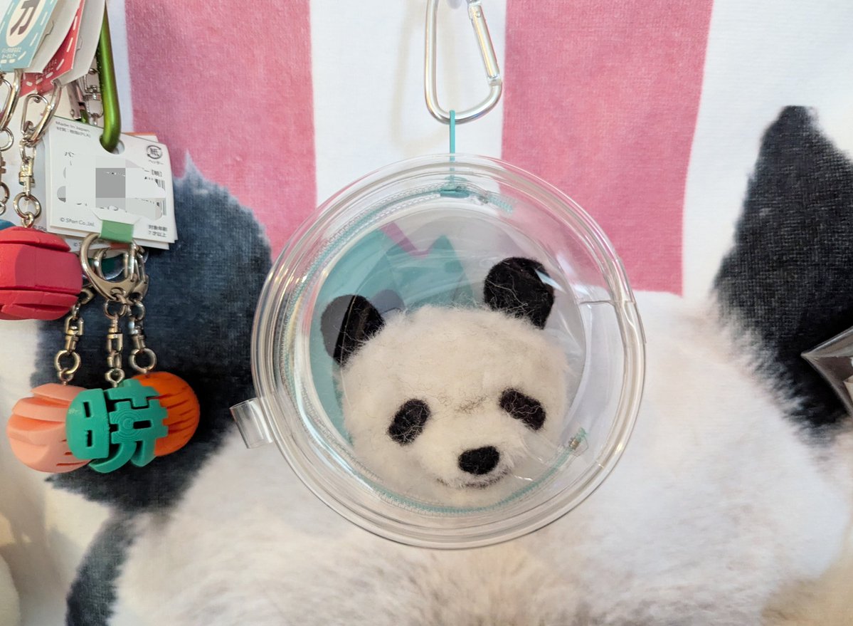 前にお顔だけ作ってたら シャオくんっぽいかなってそのまま保存して