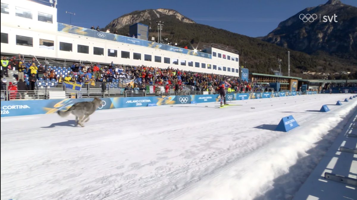 Oskar (@alshittihad) on Twitter photo 