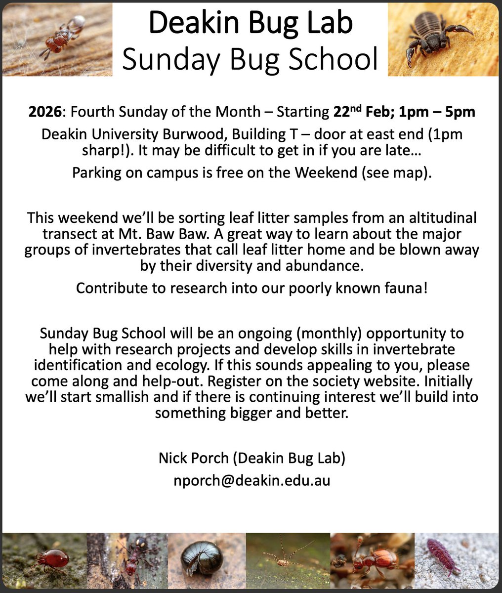 Entomological Society of Victoria 🐛🐜🦟🐞🕷️🦗 tweet media
