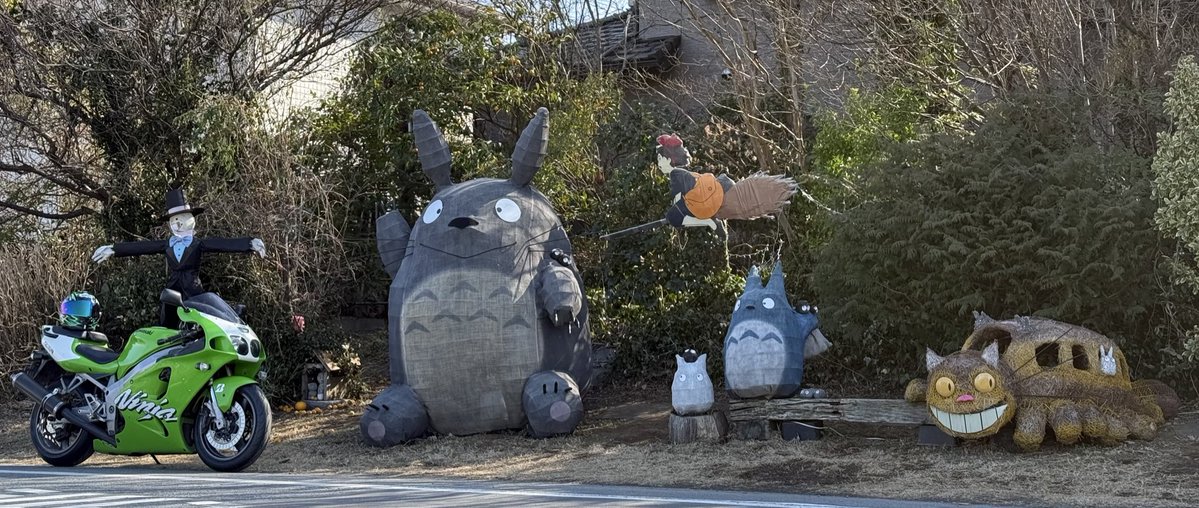 トトロ 気になってたトトロと🤳🏻🏍