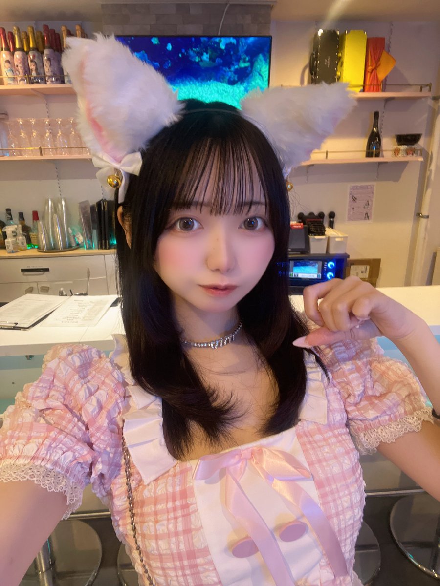 ねこみみでっかー！