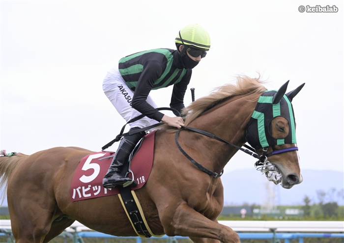 keibalab's tweet photo. 【ありがとうバビット】
バビット
Babbitt
(牡9、栗東・浜田多実雄厩舎)
父ナカヤマフェスタ
母アートリョウコ
母父タイキシャトル
#バビット #引退 #札幌競馬場 #乗馬 
https://t.co/1APPa0uatf https://t.co/RMGOoKZi8v