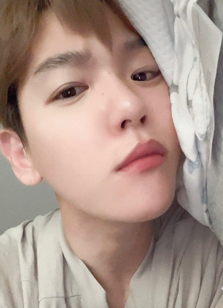 candybaek506's tweet photo. 🐶🤍…. #이거백현이 https://t.co/TP703FmT4e