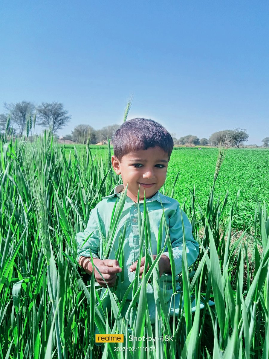 Solangi79200's tweet photo. My Son Muhammad Hussain
This photo was shooting in the wheat crops 
 #foryoupage 
#Ramadan #viral https://t.co/6Qjfec0qpE