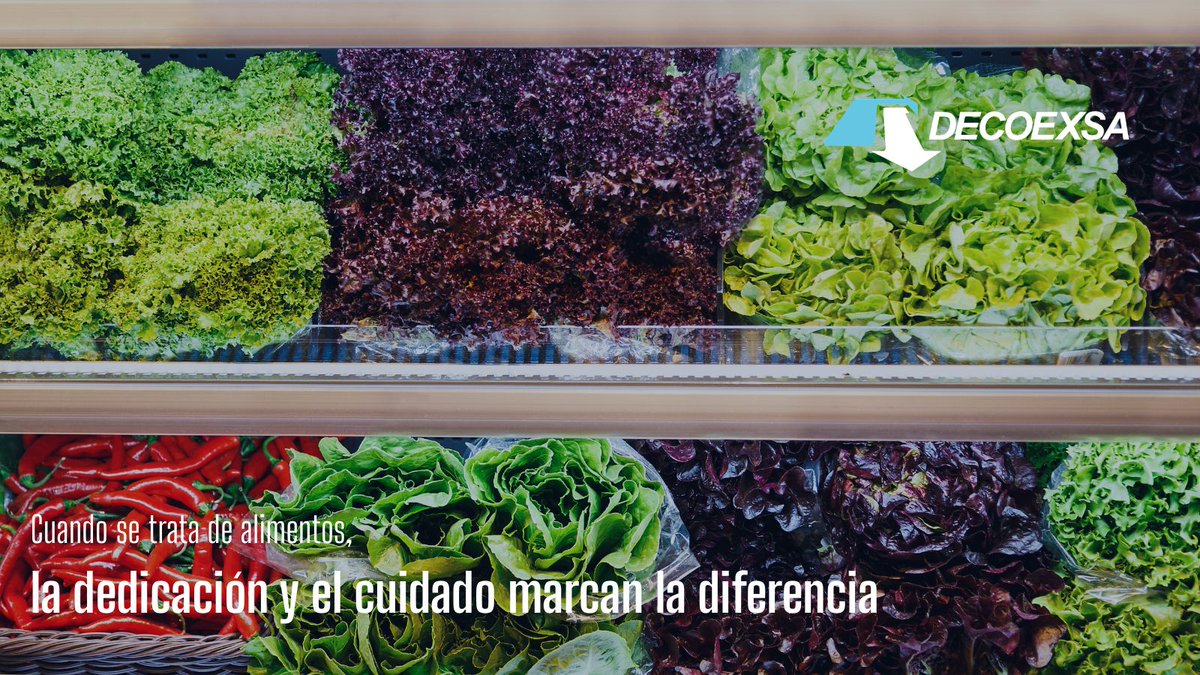 ❄️ En #Decoexsa entendemos que la #alimentación exige precisión. Por eso combinamos tecnología avanzada y un equipo experto para proteger la calidad de tus productos. 🍌🍅✨Cuando se trata de alimentos, la dedicación y el cuidado marcan la diferencia. 🌟 #TransporteRefrigerado