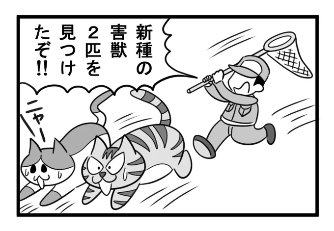 ねこまんがかいてみた451「エスケイプ」(ねこのいない世界編)

#ねこ #ネコ #猫 #白猫 #黒猫 #猫漫画 #cat #4コマ #4コマ漫画 #マンガ #漫画 #異世界 #異世界転生 #ねこのいない世界 #漫画が読めるハッシュタグ 