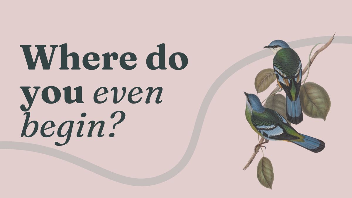 IndieAudiobooks's tweet image. Thinking about an audiobook but not sure where to start?

🎧 Our free 8-part email course helps indie authors make smart decisions before recording begins.

👉 Sign up → indieaudiobookproductions.co.uk/audiobook-prep…

#indieauthor #audiobooktips #selfpublishing