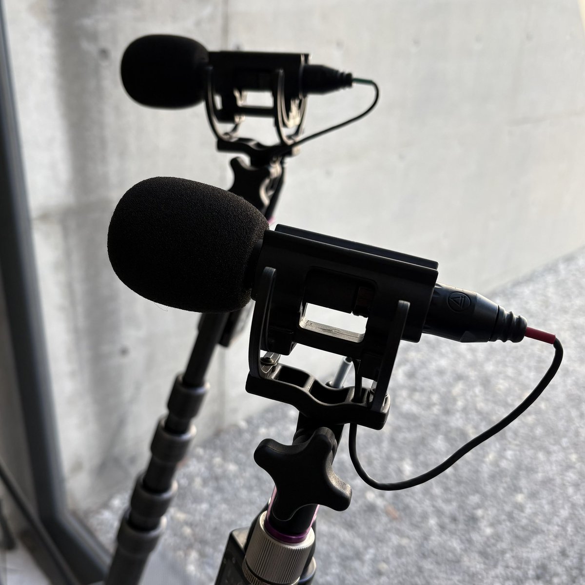 ガンマイク、今回も室内ではゼンハイザーのMKH8050を使用。(屋外はMKH416)
ずっとメインマイクとして使ってるけど、環境や役者やマイクマンが変わると、自分の想像とはまた違う音が聴こえてきたりする。
まだまだ飽きないマイク。