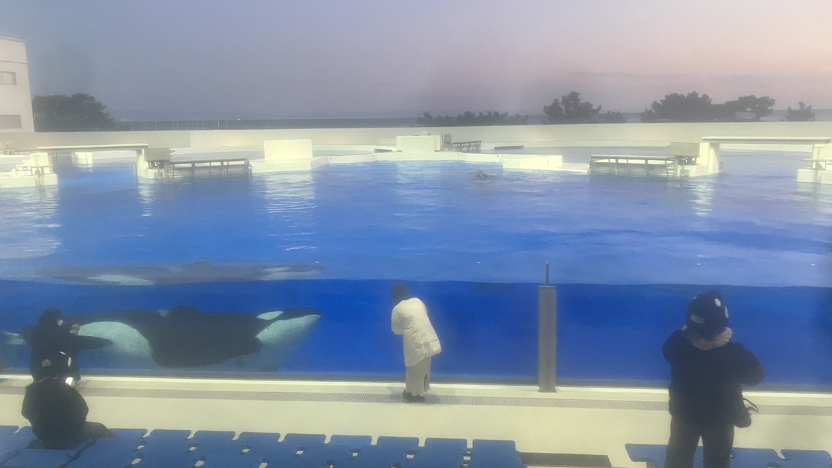 中央前列で待機！
あと誰だぁぁフラッシュしまくってる悪いやっちゃ！！