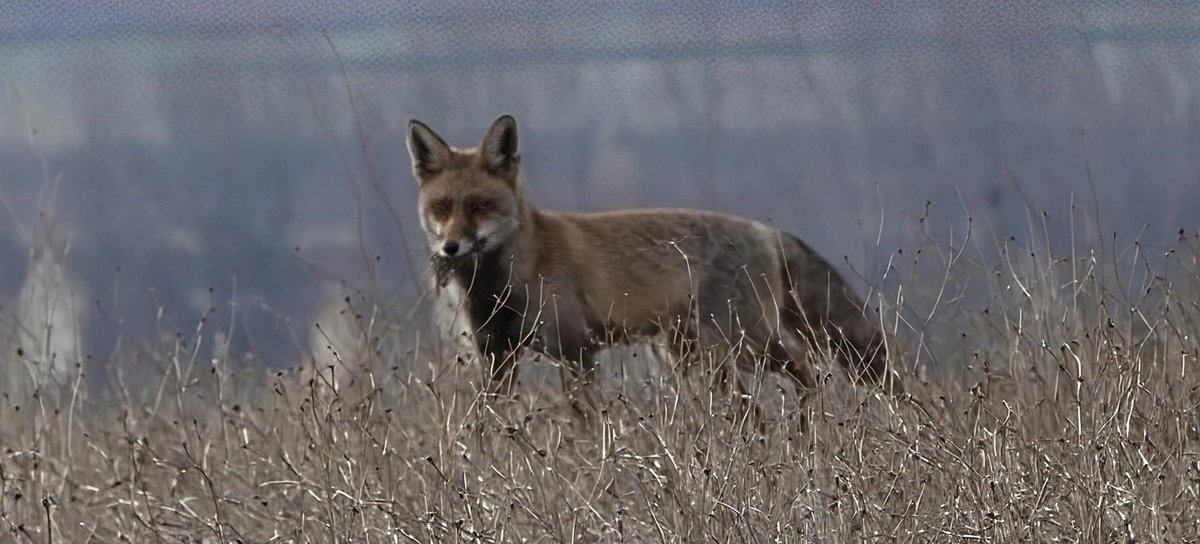 Manuel (@manuel41195697) on Twitter photo 