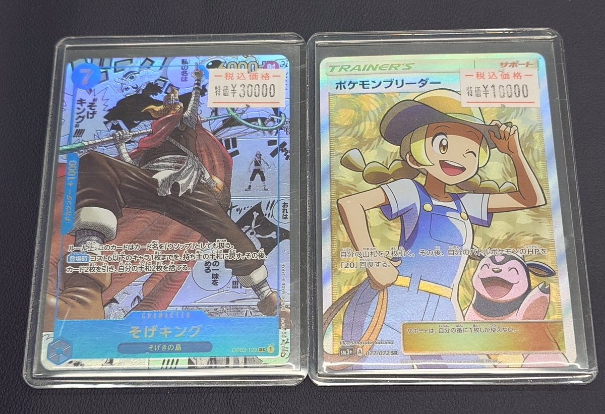 🌟販売情報🌟 🧡ポケモンブリーダー🧡 ✨訳あり特価