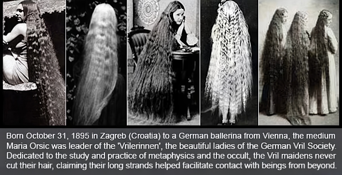 david barbelo tweet media