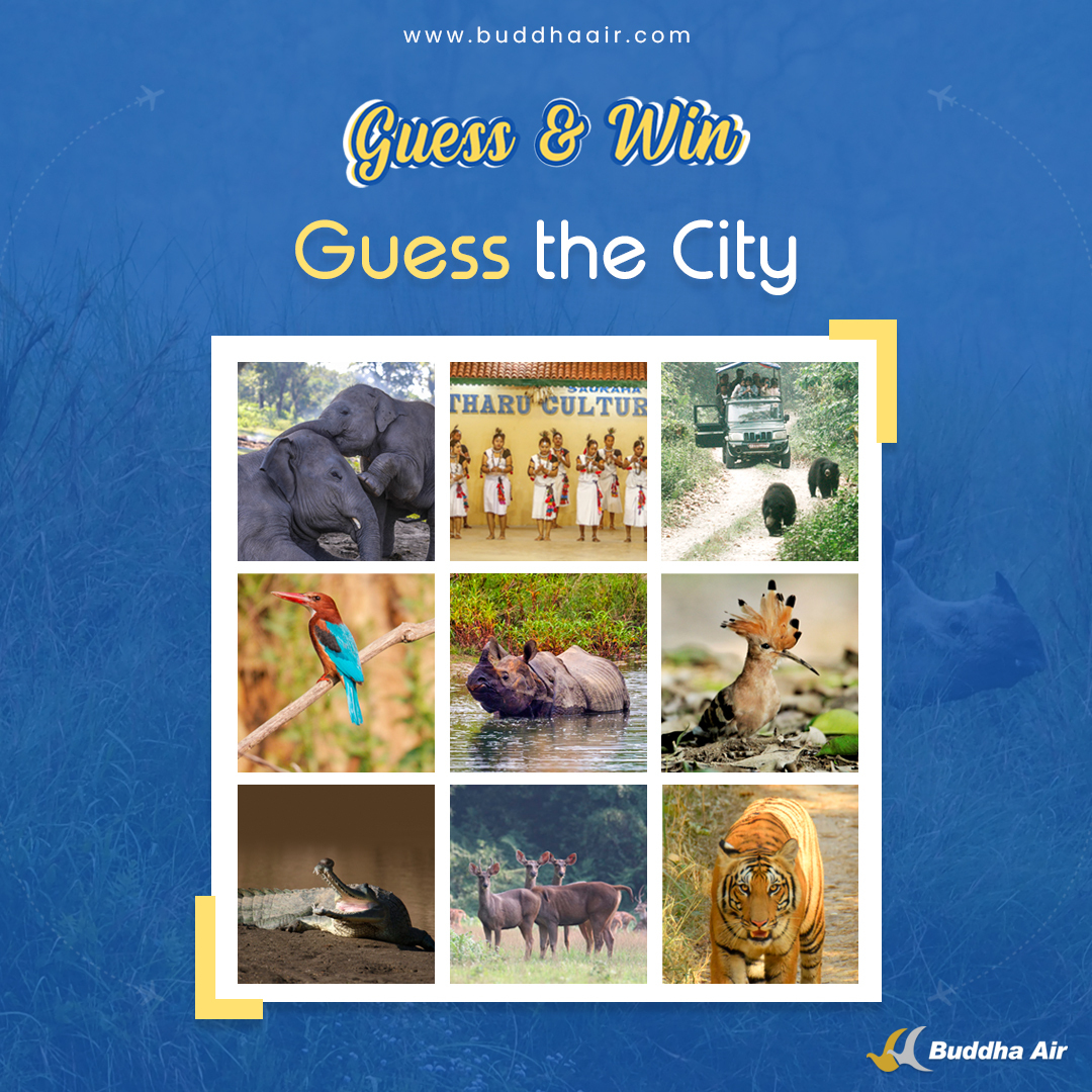 AirBuddha's tweet photo. 🐘🌿 Guess the City!
Famous for jungle safaris,
renowned as the Elephant City,
and a paradise for birdwatchers 🦜
👇 Drop your answer below! https://t.co/Om0lOFl7NQ