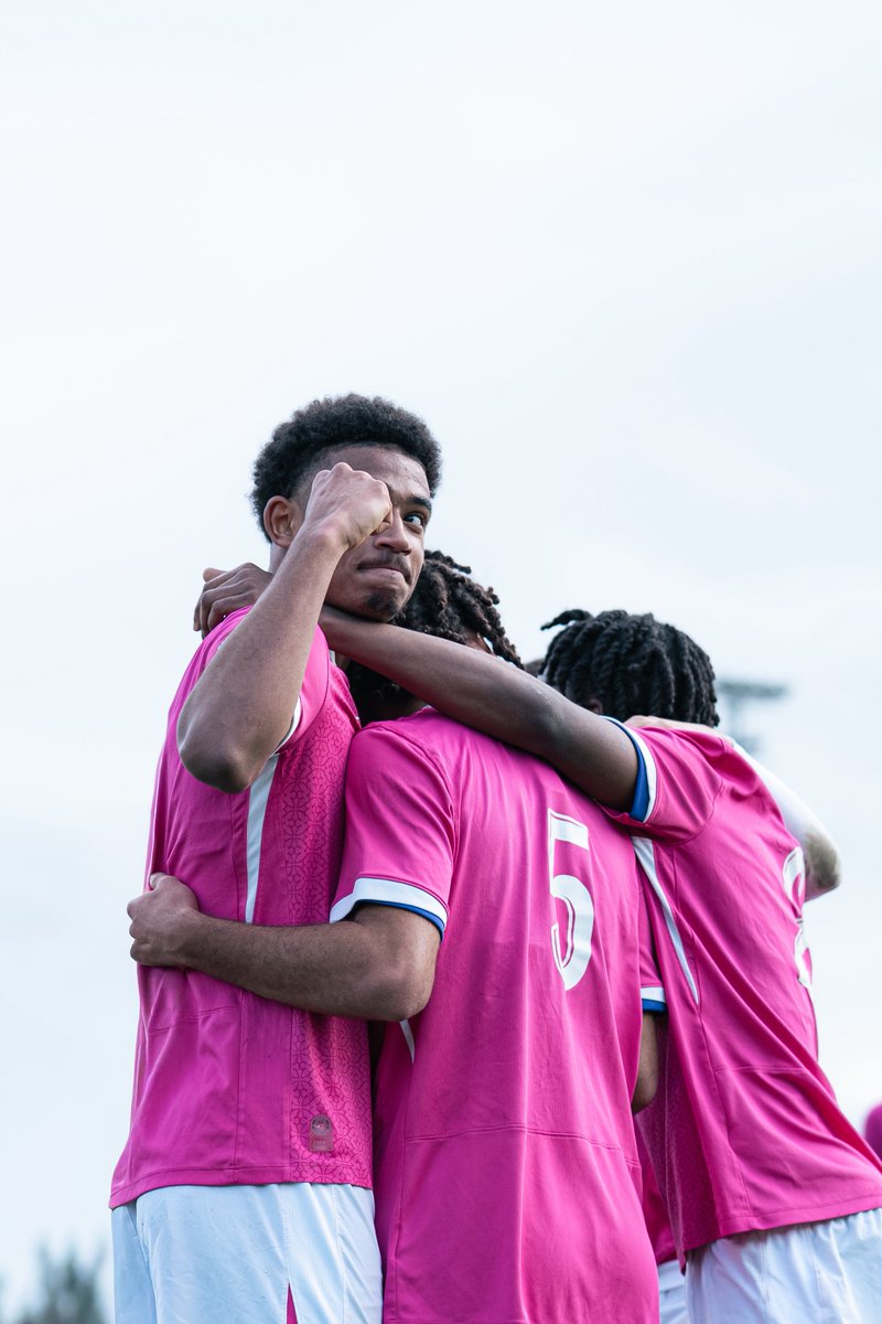 amine (AMN) tweet media