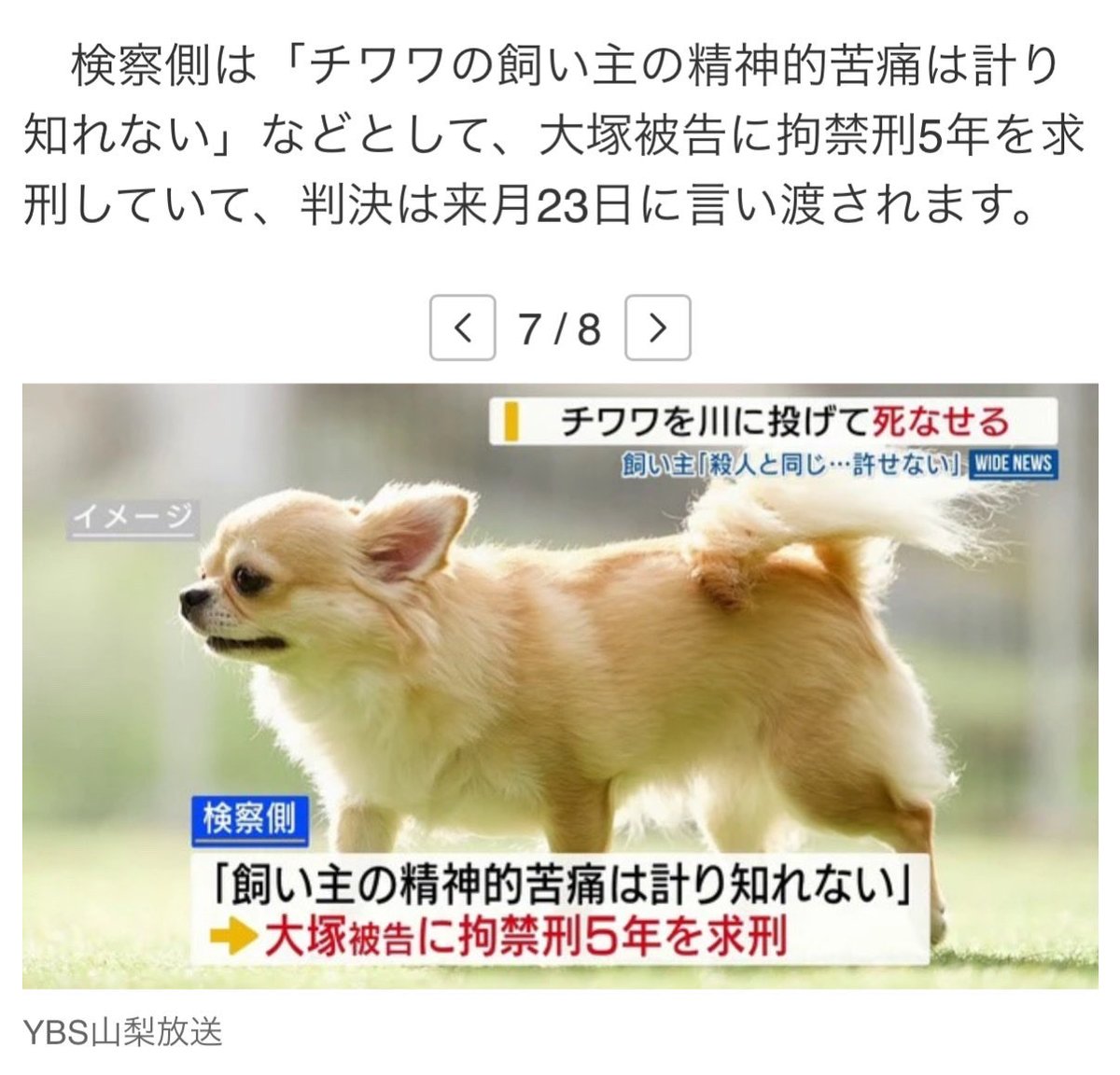 dignityofanimal's tweet photo. 検察側は「チワワの飼い主の精神的苦痛は計り知れない」と、大塚被告に拘禁刑5年を求刑。
判決は3/23

拘禁刑5年は現行法下では最高刑❗️

しかし、動物殺傷罪は、もっと厳罰化すべき。飼い主の心痛思えば。悲しみを一生背負わされるのだから。

飼い主は「私たちの家族の命を奪った行為は殺人と同じで、到底、許すことはできない」

大塚被告は、チワワを投げ捨てた理由について、「深く考えていなかったが、とりあえず、証拠を残さないよ��にと思った」などと、時折、笑みを浮かべながら話しました。

動物の地位向上が必要。
その為には動愛法の厳罰化が必要‼️

動物も人も痛み苦しみ恐怖を感じる。
そして、喜び悲しみ共有してきた家族。

#チワワ　#動物愛護管理法 
#動物はモノじゃない