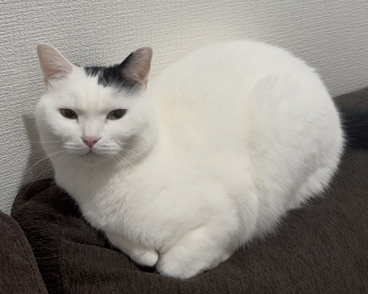 たけちゃんがハートになってる！ってお父さんが騒いでる