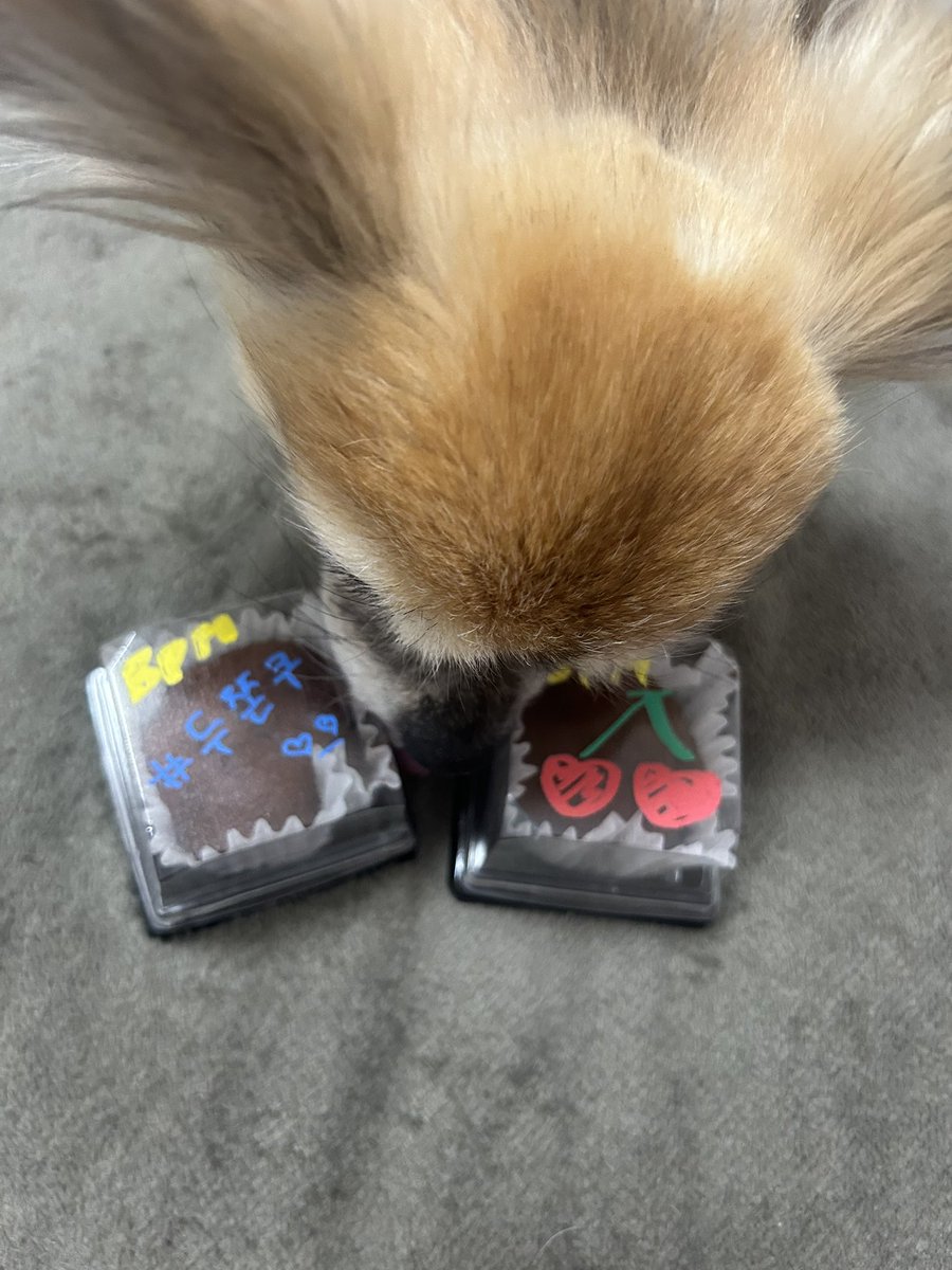 ドバイチョコ餅
ハマって飯ちゃんと食えないwwd