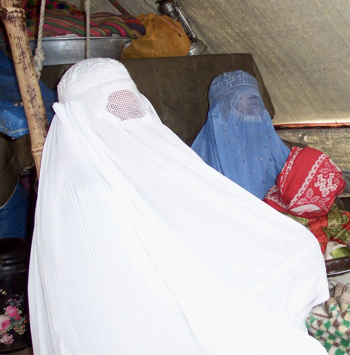 josepalay's tweet image. L’esquerra catalana i espanyola, en mode terraplanista, defensant del burca i el nicab. Han perdut el nord i perdran els vots.