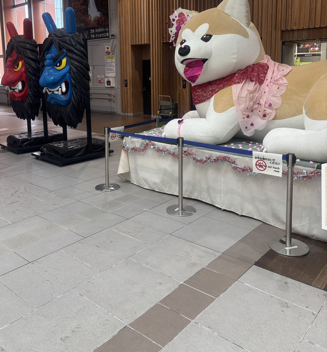 今日はアキータでした‼️