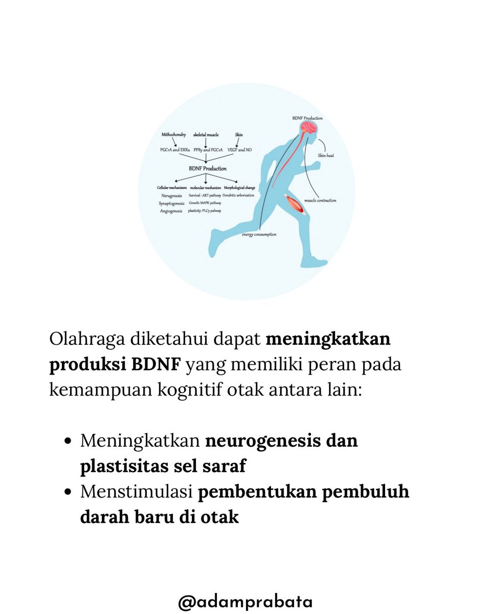 Gua Berusaha Rutin Olahraga Agar Tidak Brain Fog Setelah Baca Jurnal Ini

Sering merasa brain fog atau sulit fokus saat bekerja? Jangan-jangan sebenarnya kalian itu kurang olahraga?

Jadi gue nemuin penelitian di jurnal Brain Behavior and Immunity Integrative (2023) mengungkap