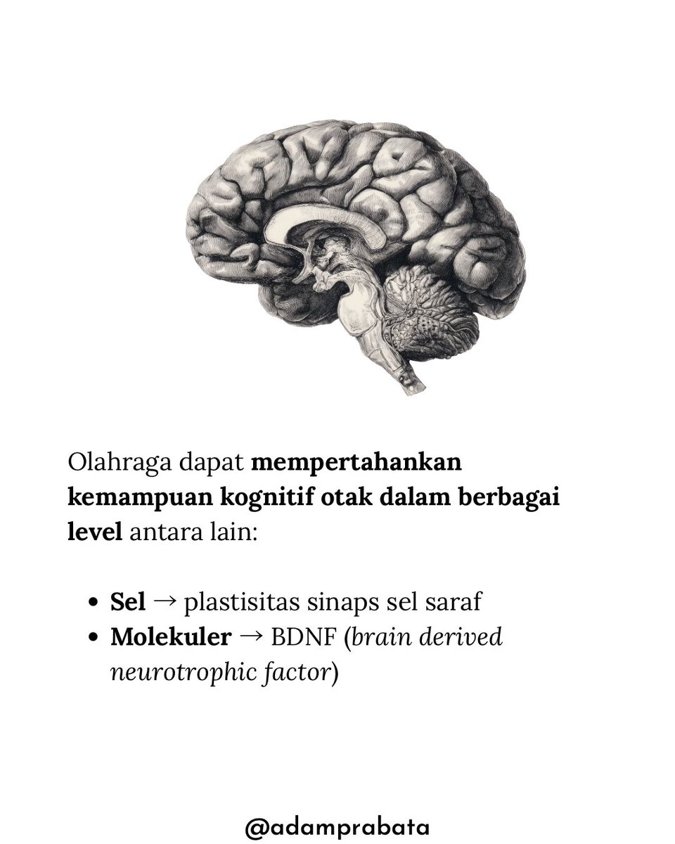 dr. Adam Prabata tweet media