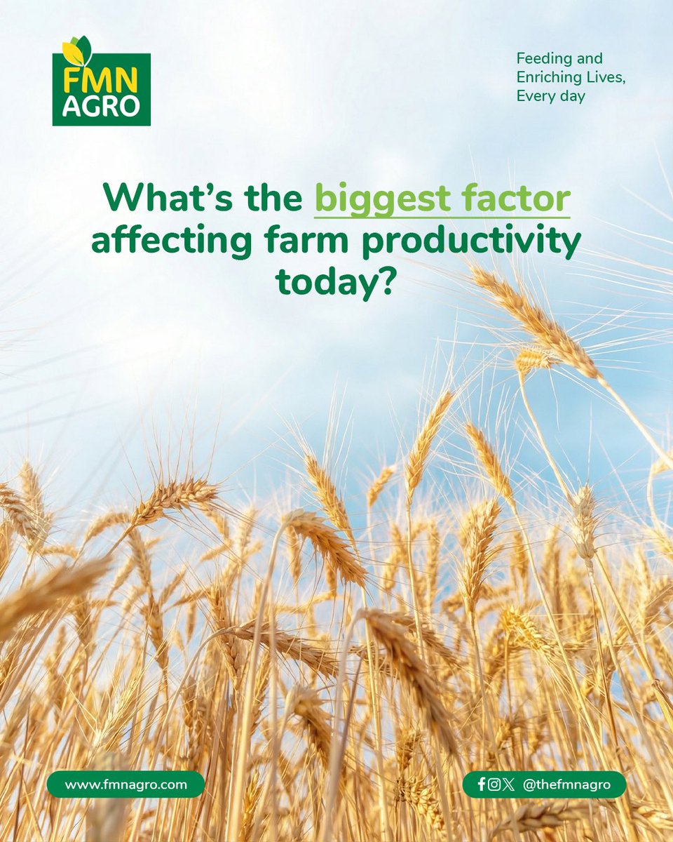 TheFMNAgro's tweet image. Is it input costs? Weather patterns? Soil condition? Market access? Every farmer faces different realities, and understanding these challenges helps improve agricultural solutions.

Tell us, what affects productivity most on your farm?

#FMNAgro #FarmersVoice #FarmCommunity